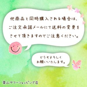 黒胡椒入りしいたけ茶 40袋 コラーゲン 調味...の詳細画像3