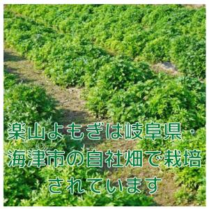 よもぎ茶 カフェインフリー 10g(2g x ...の詳細画像2