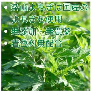 よもぎ茶 カフェインフリー 10g(2g x ...の詳細画像1