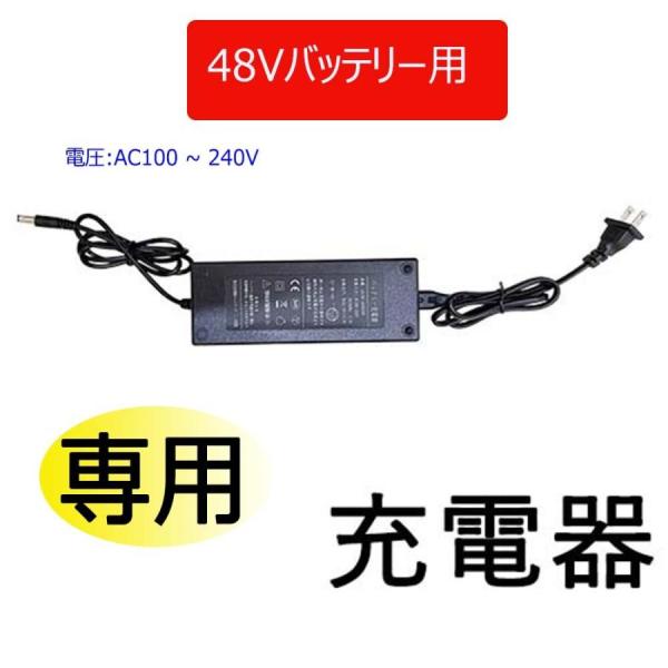 48V 充電器 20インチ FLYFISHの 電動自転車 フル電動バイク 専用 PSE認証  