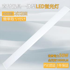 ODELIC（オーデリック） ベースライト 【OL291574R1B】【OL 291 574R1B