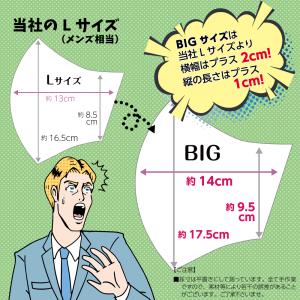 布マスク 日本製 BIG 大きいマスク デカい...の詳細画像2