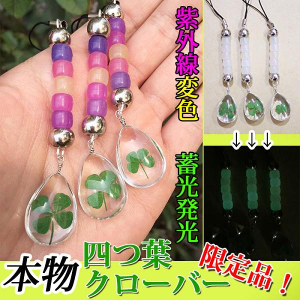 スマホストラップ 四つ葉のクローバー 蓄光 発光 UV探知 紫外線 日傘に グラスクローバー かばん...