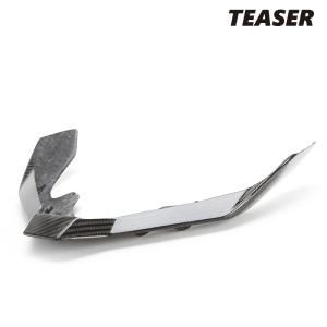 TEASER FFS05G FRONT FENDER [DRY CARBON HG] SUZUKI GSX1300R