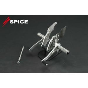 SPICE（スパイス）[0102BS1K113B] ステップ[SI]ZRX1200R／S／DAEG／...