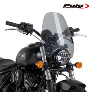 互換品】NSR250R 1990-2003 MC21 スクリーン ステー 銀 : shopooo by