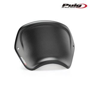 Puig（プーチ） Puig 8164W NEW GENERATION TOURING [CLEAR] Kawasaki