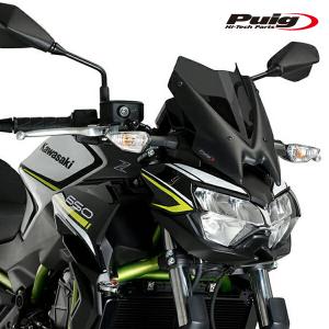 TEASER RFB02G REAR FENDER [DRY CARBON HG] BMW S1000XR (20-26