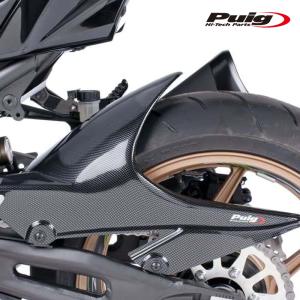 TEASER RFK08G REAR FENDER [DRY CARBON HG] Kawasaki Ninja1000SX (17