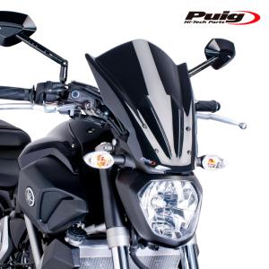 TEASER FFK11G FRONT FENDER[DRY CARBON HG] Kawasaki Z900RS (18-24