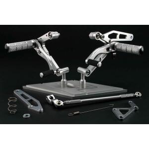 RZ250R シフトシャフトガイドプレート ブラック : Complsah Factory