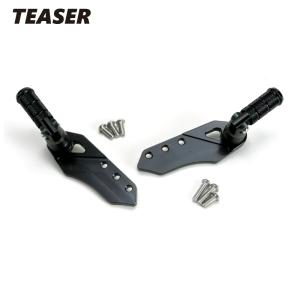TEASER [D4B1K] ティーザー スプロケットカバー[BK] ZRX1200 DAEG