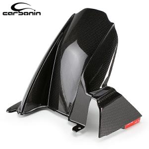 TEASER RFK02G REAR FENDER [DRY CARBON HG] KAWASAKI Z1000 (10-26