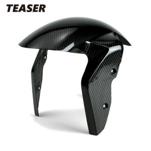 TEASER FFD11G FRONT FENDER 【DRY CARBON HG】 DUCATI DIAVEL V4 (23