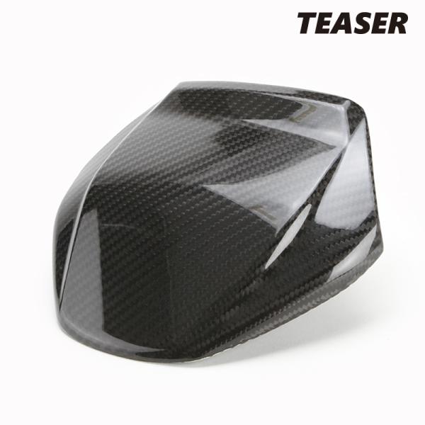 TEASER FMD03G FRONT FAIRING 【DRY CARBON HG】 DUCATI...