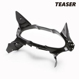 TEASER FFS05G FRONT FENDER [DRY CARBON HG] SUZUKI GSX1300R
