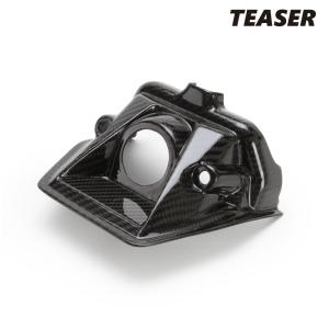 Carbonin CS10010カーボン フロントフェンダーSUZUKI GSX-R1000 (09-16