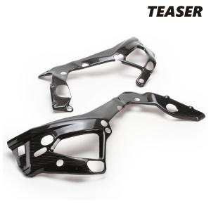 BMW S1000RR トリムリレーカバー ドライカーボン SPEEDRA : モトパーツ