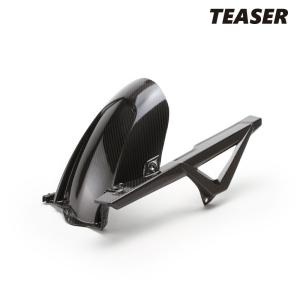 TEASER RFB02G REAR FENDER [DRY CARBON HG] BMW S1000XR (20-26