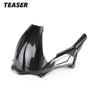 TEASER RFB02G REAR FENDER [DRY CARBON HG] BMW S1000XR (20-21) ティーザー