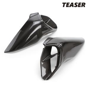 TEASER TCK02G TANK COVER [DRY CARBON HG] Kawasaki Z1000 (14
