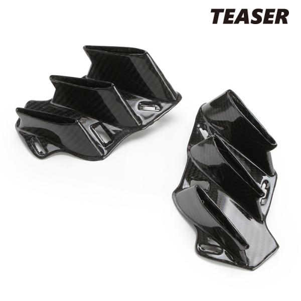 TEASER SPH02G SIDE WINGLETS [DRY CARBON HG] CBR100...