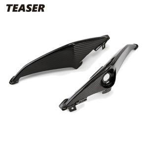 TEASER SPS02G SIDE PANEL (Tail) [DRY CARBON HG] SUZUKI　GSR750 ティーザー