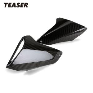 TEASER FFS05G FRONT FENDER [DRY CARBON HG] SUZUKI GSX1300R