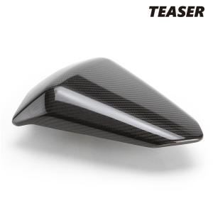 TEASER TFK02G NECK FRAME COVERS[DRY CARBON HG] Kawasaki Z900RS (18