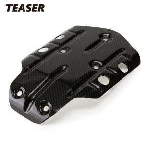 TEASER UTB01G UNDERTRAY [DRY CARBON HG] BMW　R1200GS (13-) ティーザー カーボン アンダー トレイ｜rambutan