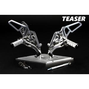 TEASER [D4C2K] ティーザー スプロケットカバー[BK/T2] ZZR1100(全年式