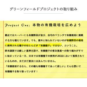 【有機種子・固定種】葉菜の種 グリーンフィール...の詳細画像1