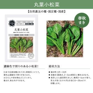 【有機種子・固定種】葉菜の種 グリーンフィール...の詳細画像2