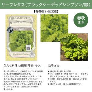 【有機種子・固定種】葉菜の種 グリーンフィール...の詳細画像3