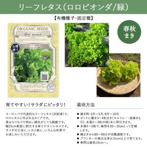 【有機種子・固定種】葉菜の種 グリーンフィール...の詳細画像4