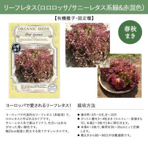 【有機種子・固定種】葉菜の種 グリーンフィール...の詳細画像5