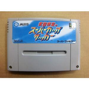 ポスト投函☆送料無料【中古】SFC 海釣り名人 スズキ編 : ラムキンズ