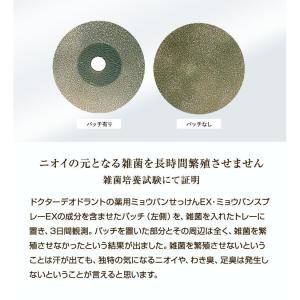 ミョウバンスプレーEX お得4本セット Dr....の詳細画像5