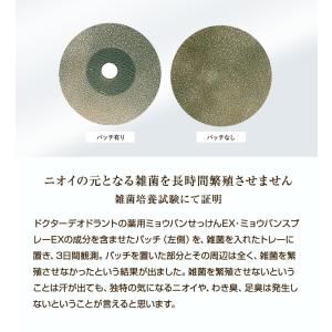 ワキガ 制汗剤 足 臭い 対策 ミョウバンスプ...の詳細画像3