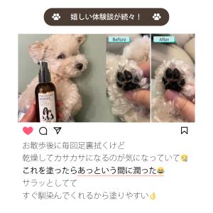 犬 アトピー かゆみ 対策 アトペット フコロ...の詳細画像5
