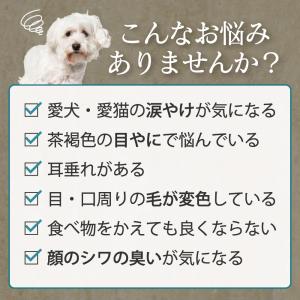 犬 猫 涙やけ クリーナー アトペット フコロ...の詳細画像4