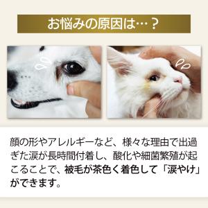 犬 猫 涙やけ クリーナー アトペット フコロ...の詳細画像5