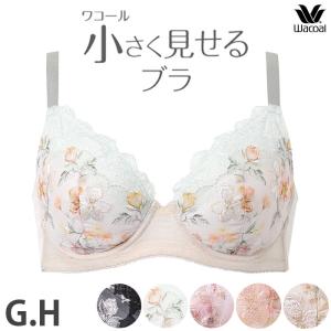 ワコール　小さく見せるブラ 大きな胸を小さく見せるブラ｜ワコール直営の公式下着通販サイト