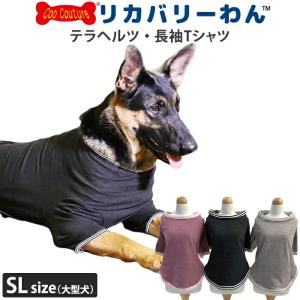 ドクターデンタルワン 犬の歯磨き 30g ビーフ味 2本 ジェル 口 わん