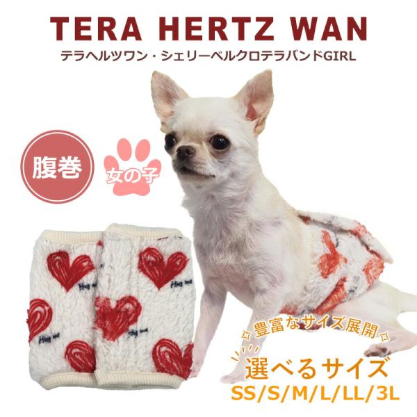 テラヘルツワン・シェリーベルクロテラバンドGIRL 犬腹巻き 犬用 女の子 ウェア ワンコ ペットウ...