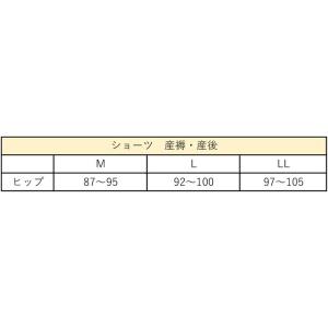 メール便可 ワコール Wacoal マタニティ...の詳細画像3