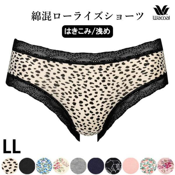 ワコール Wacoal ショーツ (LLサイズ) 綿混ローライズショーツ メール便3点まで PPE2...