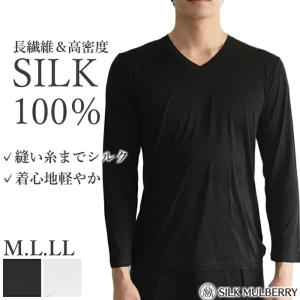 シルク100% シルクファインタッチメンズV首長...の商品画像