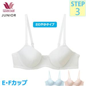 Wacoal MySize Collection C65 ブラジャー 3点セット WACOAL（ワコール） ジュニアブラジャー (Cカップ Dカップ)フェアリー