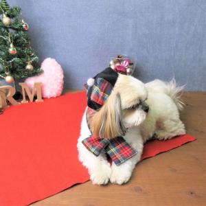 犬用カフェマット 犬用雑貨 ペット用マット ranmarche ランマルシェ